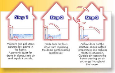 how humidex works